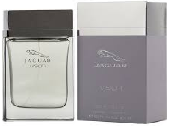 Vision by Jaguar perfume